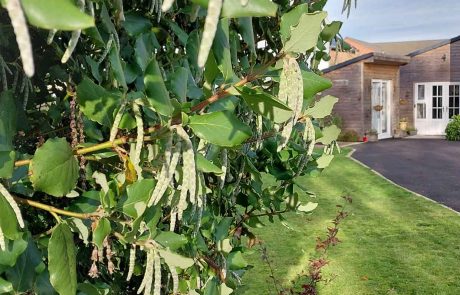 20241031-Roost-Gallery-7