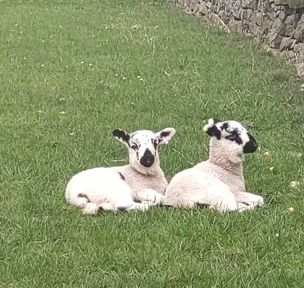 Yorkshire Dales National Park